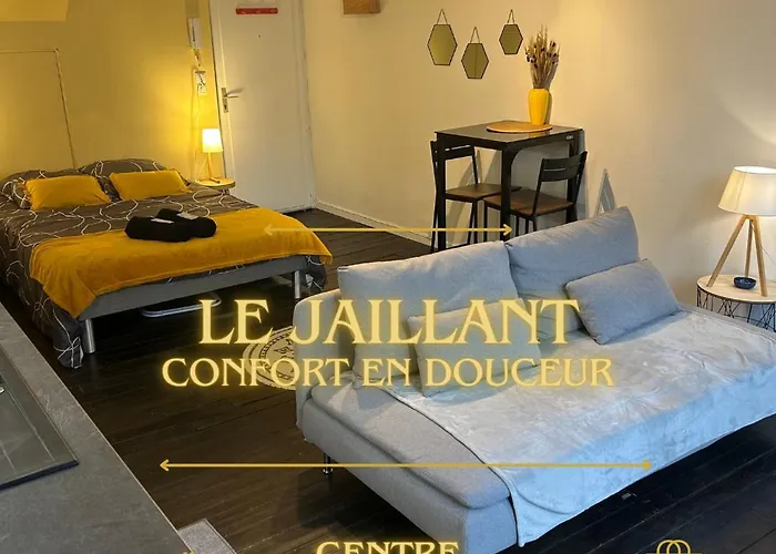 Le Jaillant - Wifi - Centre Ville Historique - Proche Gare