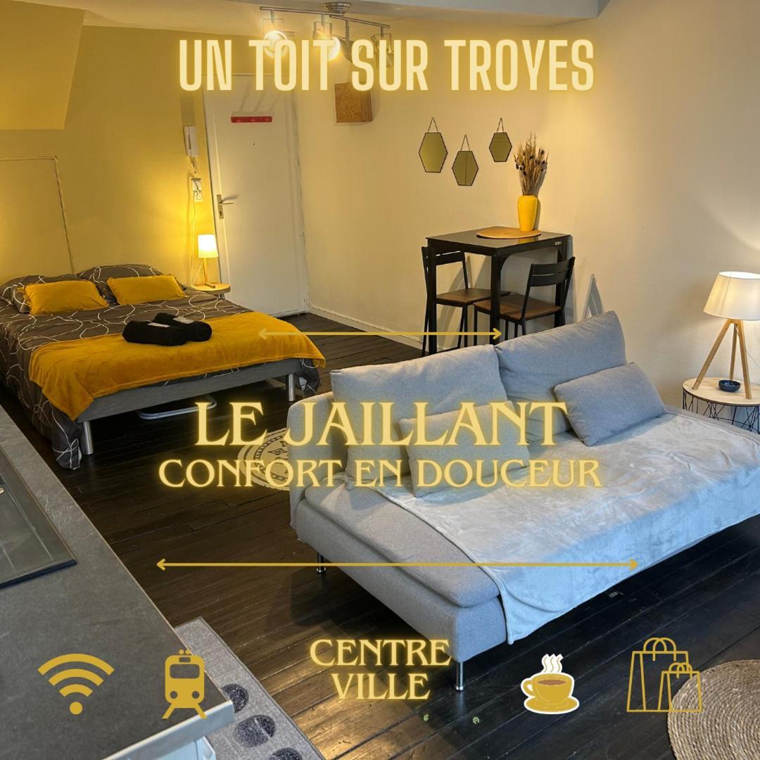 Appartamento Le Jaillant - Wifi - Centre Historique - Proche Gare Troyes